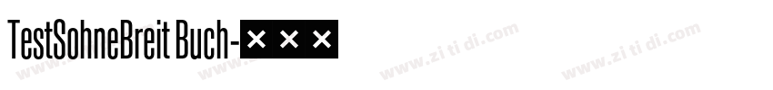TestSohneBreit Buch字体转换